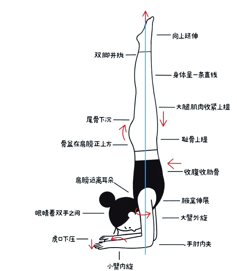 篮球试训前的体能训练方案_1
