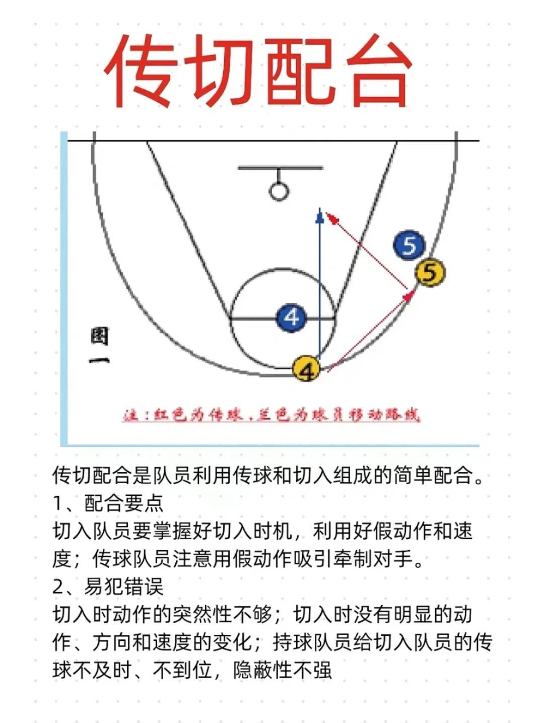 哪里可以找到关于篮球轮换训练的专业指导